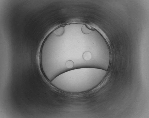 X0000102380957200808010912