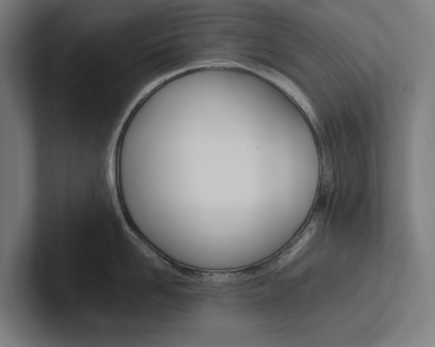 X0000102380958200808010912