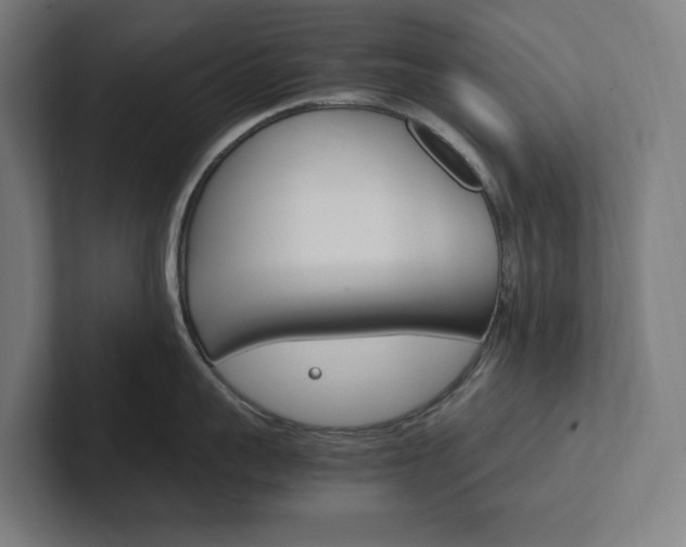 X0000102380959200808010912