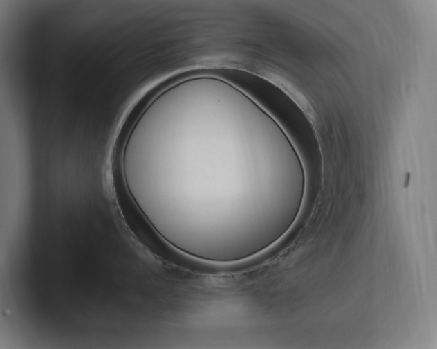 X0000102380960200808010912