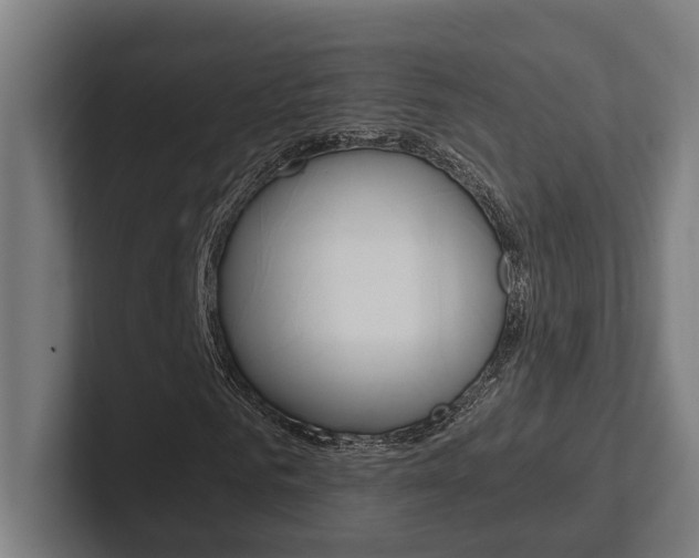 X0000102380961200808010911