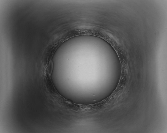 X0000102380965200808010911