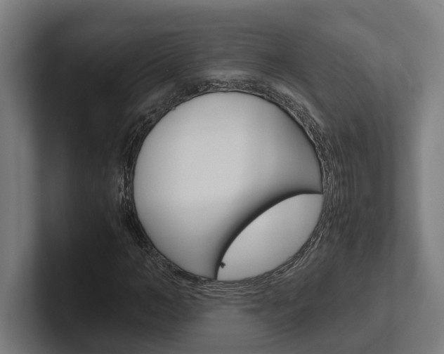 X0000102380966200808010911