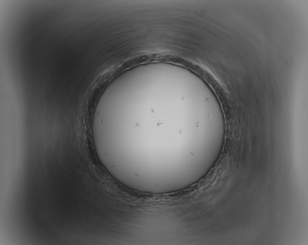 X0000102380967200808010911