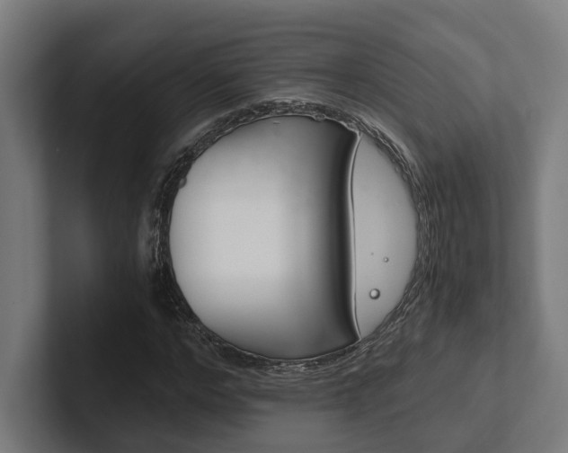X0000102380968200808010911
