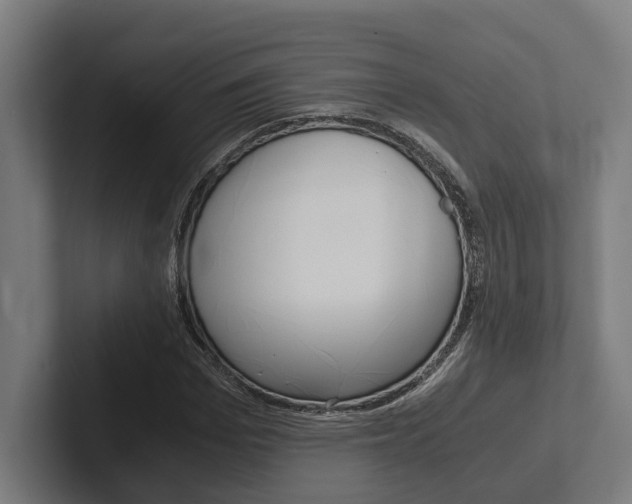X0000102380969200808010911