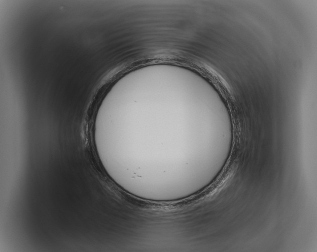 X0000102380970200808010911