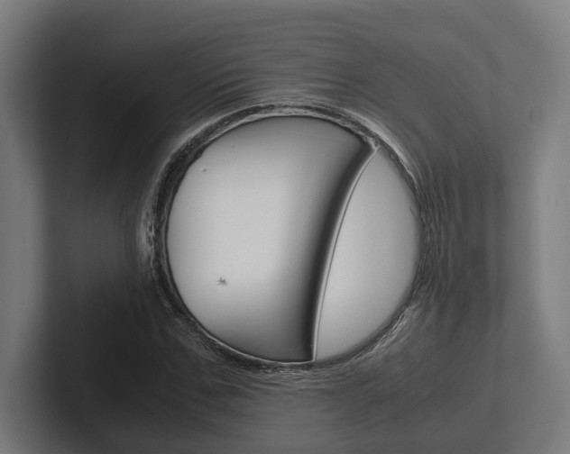 X0000102380971200808010911
