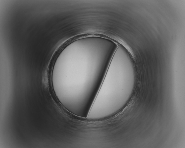 X0000102380972200808010911