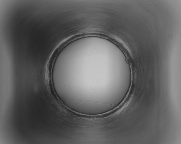 X0000102380973200808010911