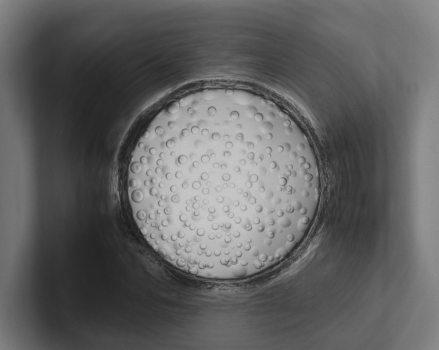 X0000102380974200808010911