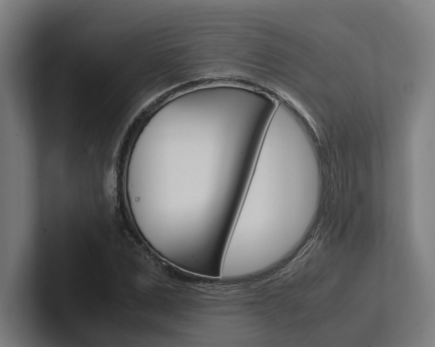 X0000102380975200808010911