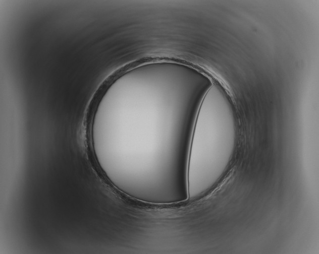 X0000102380976200808010911