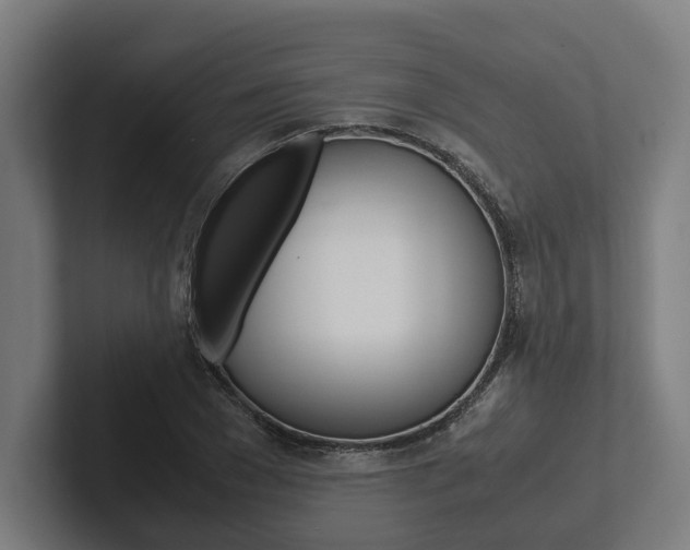 X0000102380977200808010911