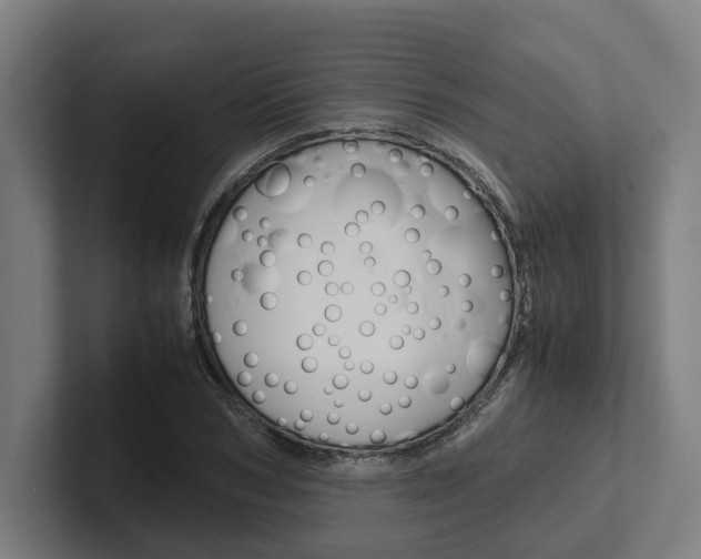 X0000102380978200808010911