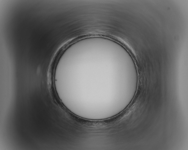 X0000102380979200808010911