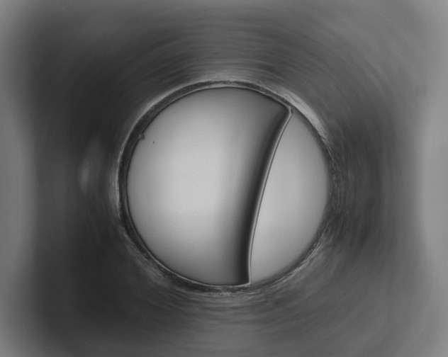 X0000102380980200808010911