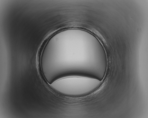 X0000102380981200808010911