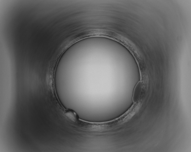 X0000102380985200808010911