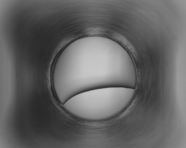 X0000102380986200808010911