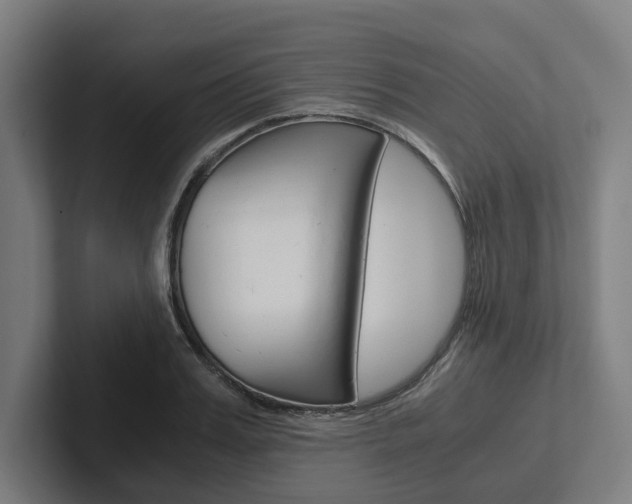 X0000102380987200808010911