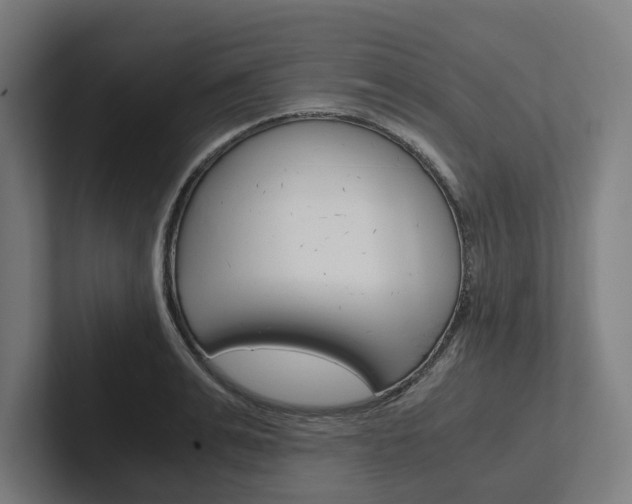 X0000102380991200808010911