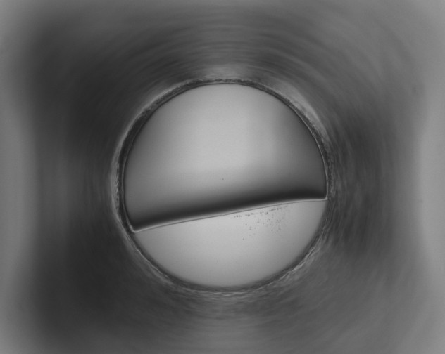X0000102380992200808010911