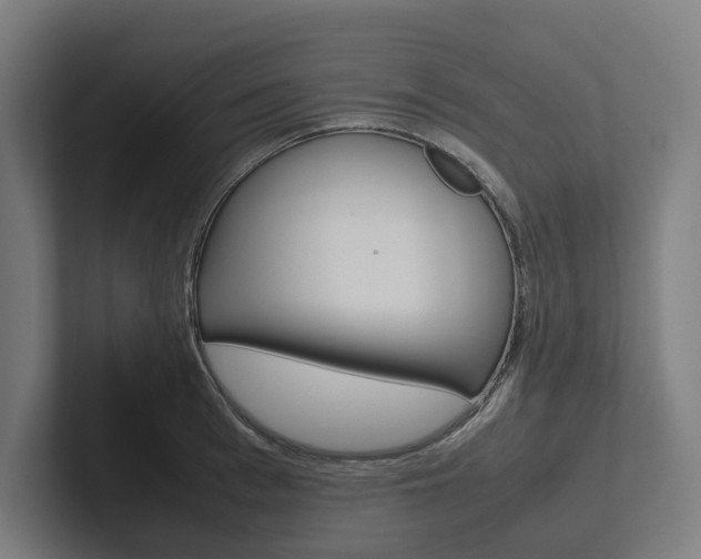 X0000102380993200808010911