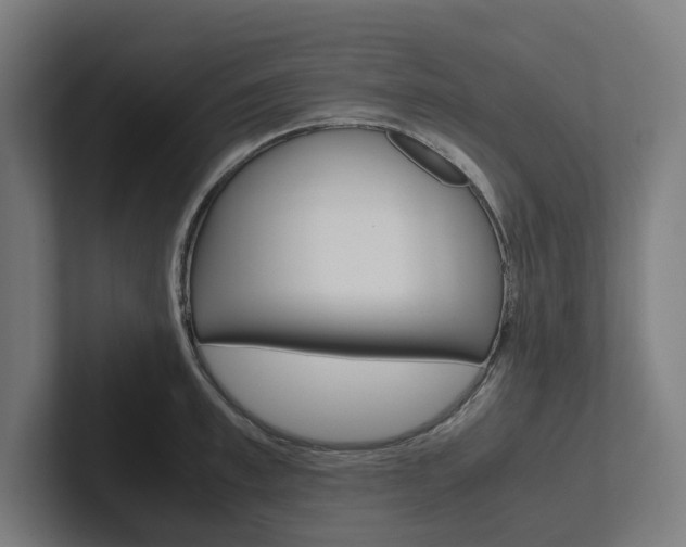 X0000102380997200808010911