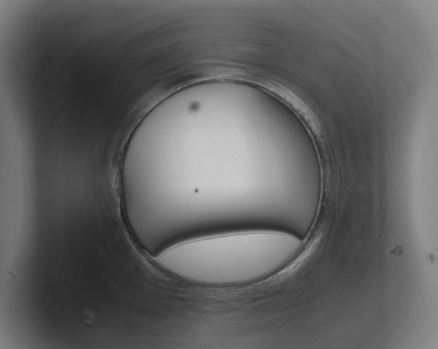X0000102381001200808010910