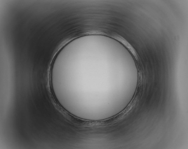 X0000102381002200808010910