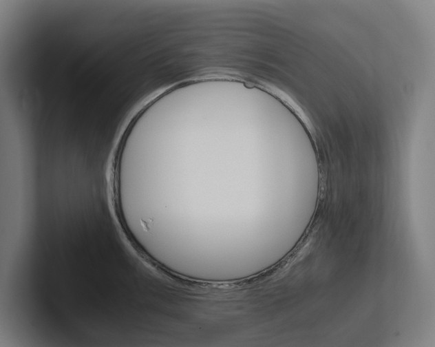 X0000102381003200808010910