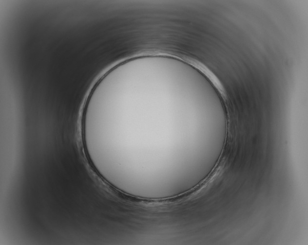 X0000102381004200808010910