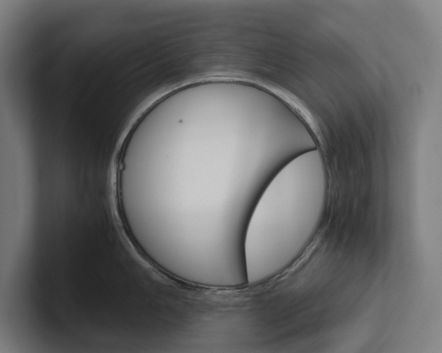 X0000102381006200808010910