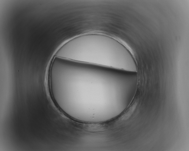X0000102381007200808010910