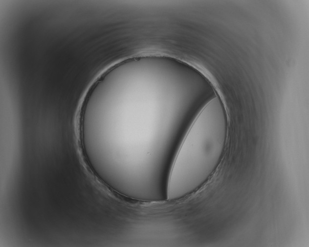 X0000102381008200808010910