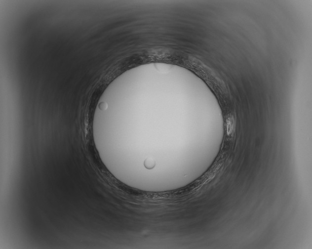 X0000102381011200808010910