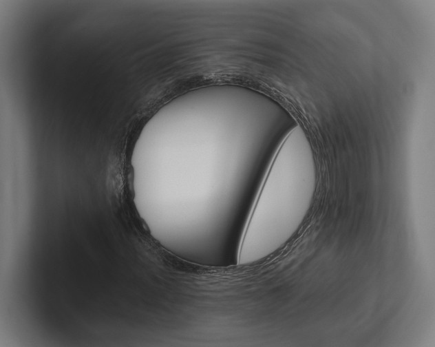 X0000102381012200808010910