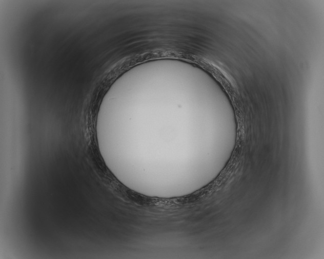 X0000102381015200808010910
