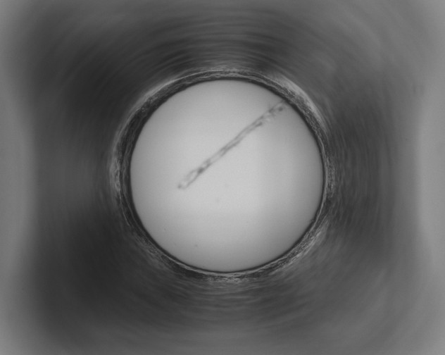 X0000102381019200808010910
