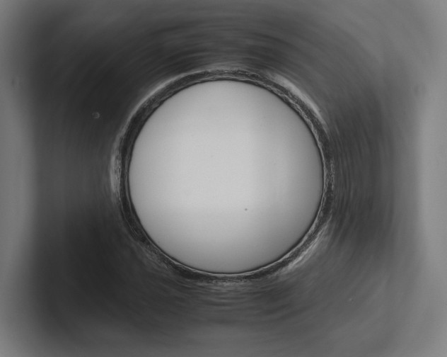 X0000102381021200808010910
