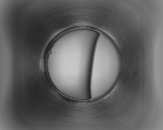 X0000102381022200808010910