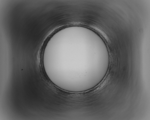 X0000102381023200808010910