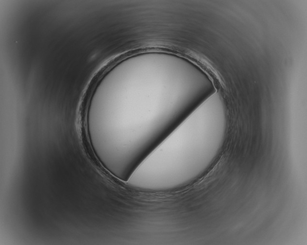 X0000102381024200808010910