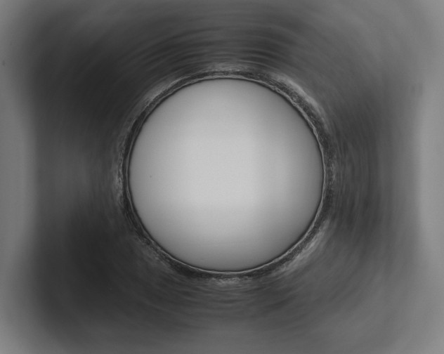 X0000102381025200808010910