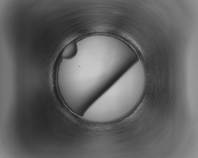 X0000102381026200808010910