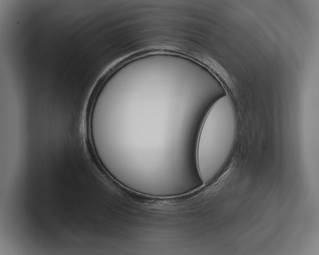 X0000102381028200808010910