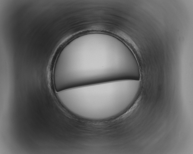 X0000102381029200808010910
