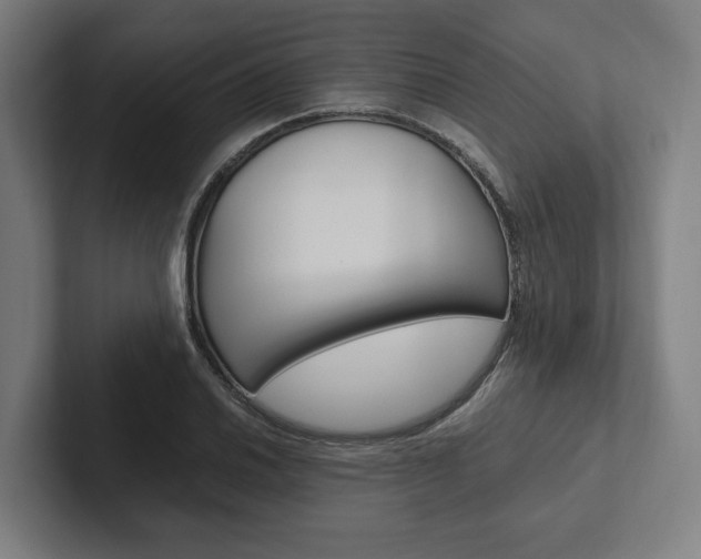 X0000102381030200808010910