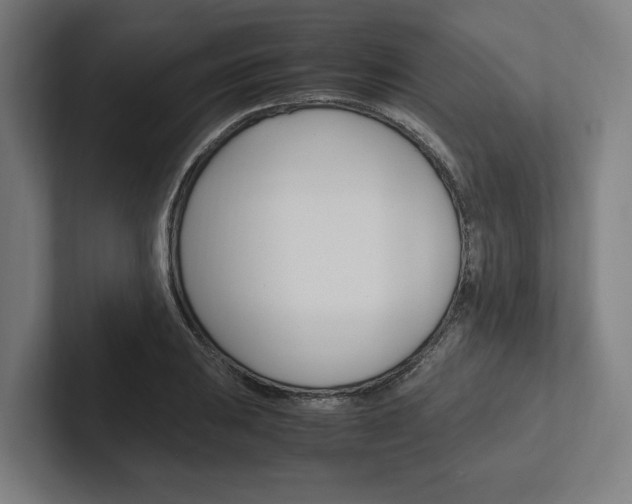 X0000102381031200808010910